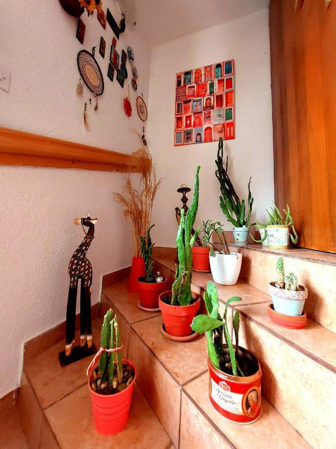 Incredible Apartment With A Mountain View - Matka Szkopje Kültér fotó